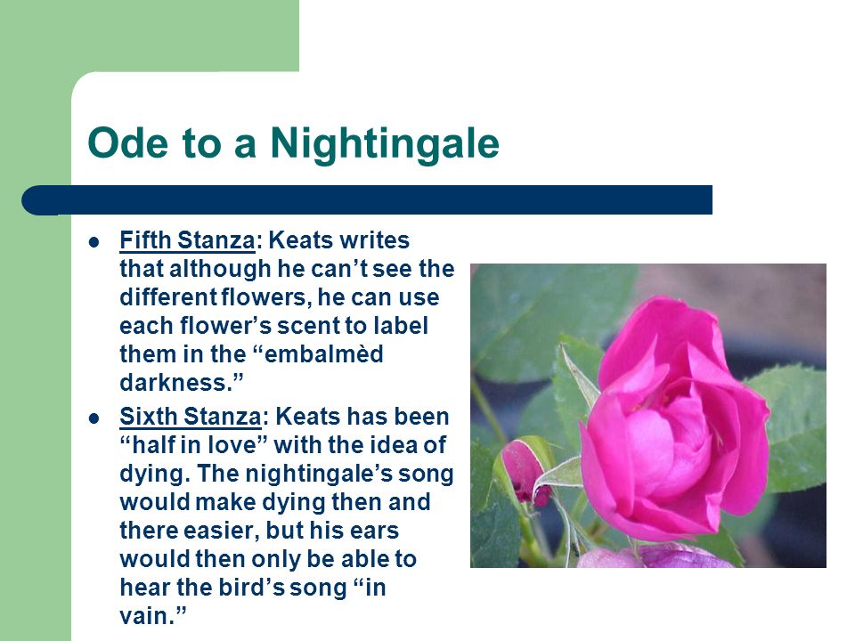 Ode to a nightingale essay